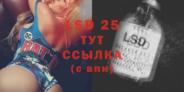 хмурый Арсеньев