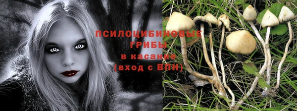 не бодяженный Армянск