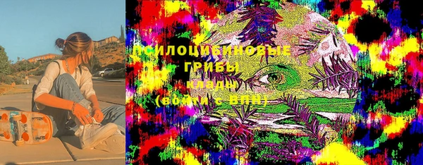 тгк Аркадак
