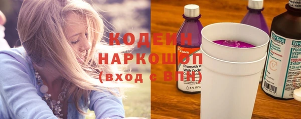 хмурый Арсеньев