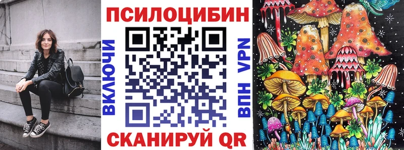 купить  сайты  Мышкин  Галлюциногенные грибы Magic Shrooms 